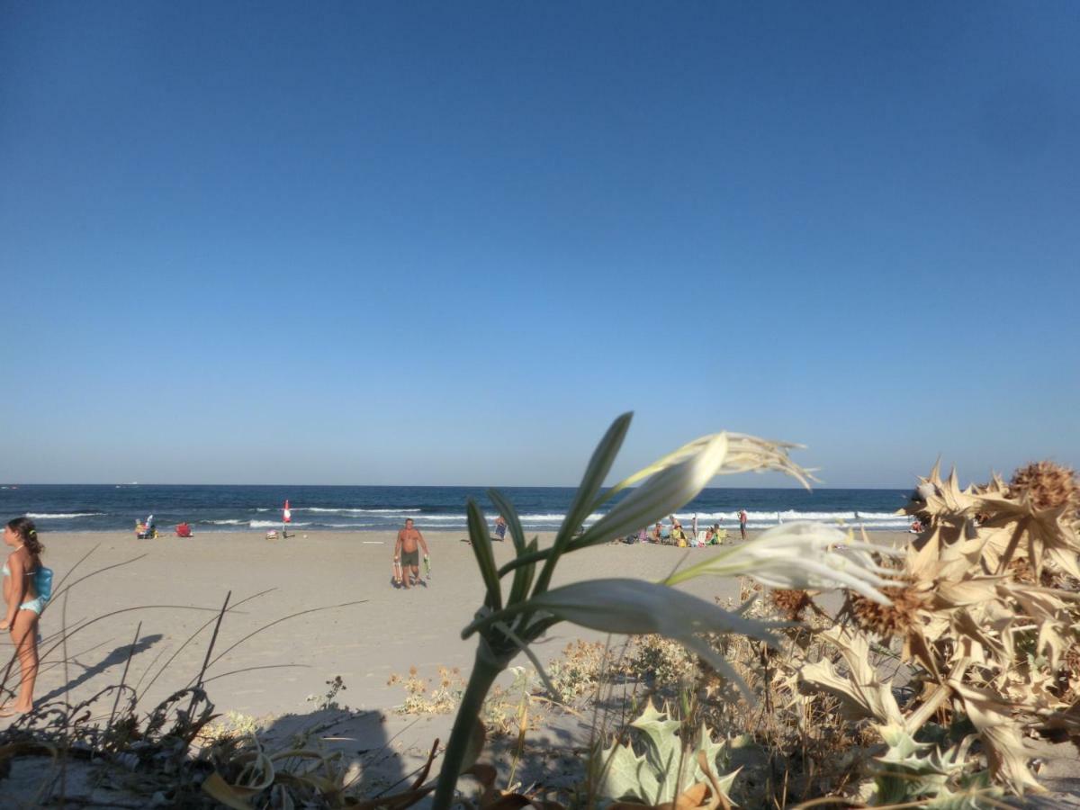 La Costa Est Villa Con Vista Mare In Ogliastra Sardegna Tertenìa Εξωτερικό φωτογραφία